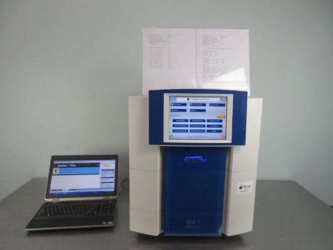 Thermo ViiA 7 Real-Time PCR System